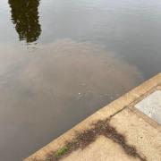 DENIED: Severn Trent have denied discoloration in the River Severn is sewage.