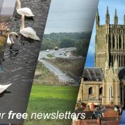 Sign up for our free newsletters