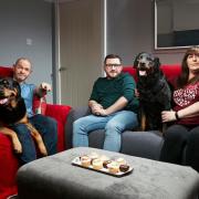 Dave, one of the Malone family's dogs, has died - here are some of his best bits on Gogglebox