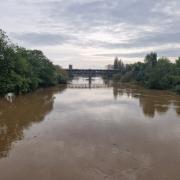 RIVER: The River Severn