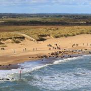 Horsey beach has been named one of the UK's best autumnal walks