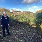CHANGES: Cllr Jill Dersayrah at the site of the path which is beginning to be cleared by hand by Sanctuary