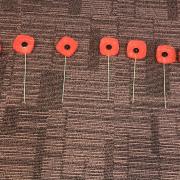 The poppies have been made from recycled plastic bottles