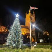 Worcester's Christmas tree up in the city centre