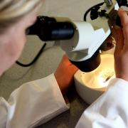 Around 160 children in the West Midlands and Worcestershire are diagnosed with cancer each year