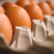 The eggs and wine diet scored 50 per cent in the survey