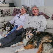 NEW HOME: Sue and Paul Lewis with Sheba and Teddy - Dogs Trust Evesham's oldest pair