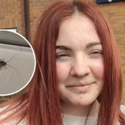 DISGUST: Rebecca Skeet a former University of Worcester student and one of the cockroaches she photographed crawling around her hall of residence