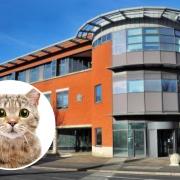 FINED: Worcester magistrates have fined a man for kicking a cat