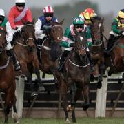 One in 65 of Worcester residents have searched for a Cheltenham Races-related term online