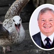 CLASH: Cllr Amos says he was the lone voice against gulls and dangerous cycling when a committee voted not to extend a public space protection order