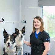 Kerry Wheeler, with her two dogs Lola and Chester, is opening a new dog grooming business in Claines, Worcester
