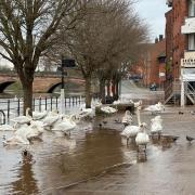 Flooding update for the River Severn.