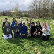 Volunteers and a group of young people plant the first Miyawaki forest in Perdiswell