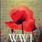 DIARIES: The WW1 Diaries booklet