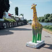 One of the Worcester Stands Tall giraffes