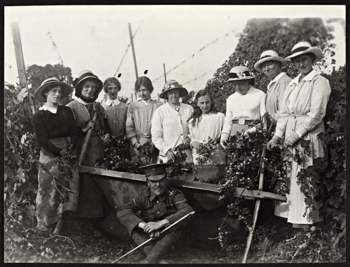 Hop picking 1917. Harvington Wartime volunteers. Picture courtesy Worcestershire Archives and Archaeology Service