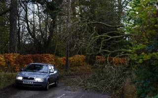A car driving beside a fallen tree. Credit: PA