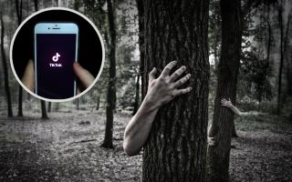 (Background) Zombie hands around trees. ( Canva) (Circle) TikTok on a phone screen. (PA)