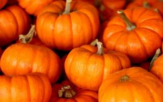 Pumpkin patches to visit in Worcestershire this half term