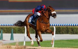 News: Deva Racing, a Worcester-based syndicate, has horse Royal Mews running in the Dubai World Cup this weekend for $1 million.