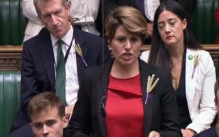 WHEAT: MPs are wearing wheat at PMQs