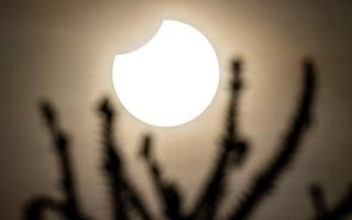 ECLIPSE: A partial eclipse will be visible this weekend.