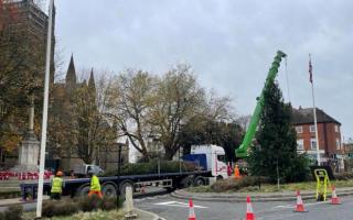A 30 foot Christmas tree has been installed in Cathedral Square ahead of the switch-on