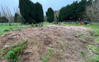 TREES: A city council has criticised Worcester City Council for removing trees in a city cemetery.