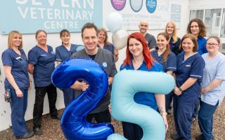 The team from Severn Vets enjoyed cake to mark this special anniversary
