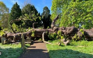 A large tree fell on and damaged tombstones in the graveyard of St Mary's Church in Kempsey near Worcester