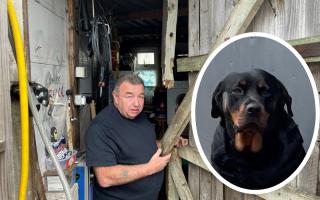 SHOCK: Terry Harrison next to one of 5 doors damaged by police during a chainsaw raid in Canterbury Road. Inset: Sindy, the Rottweiler who used to sleep by the front door as a puppy