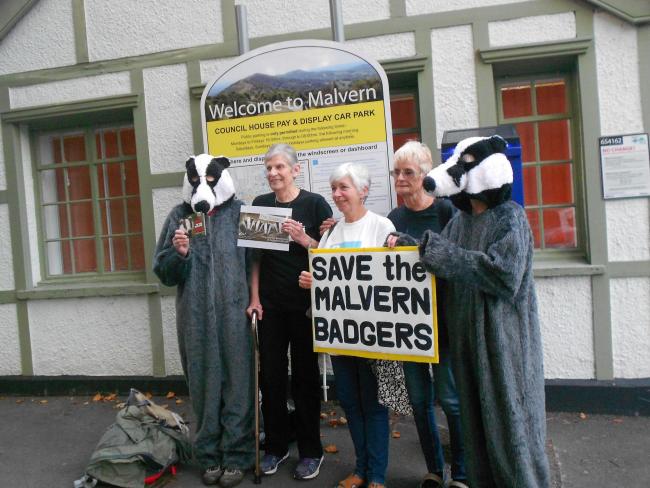 Opponents of badger culling getting their message across to Malvern Hills district council ahead of Tuesday night's meeting.